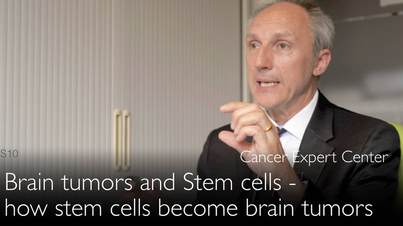 Hirntumore und Stammzellen. Wie aus Stammzellen Hirntumoren werden. 9